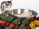 Kočky:  > Doporučená dieta při některých orgánových onemocněních (JATERNÍ NEDOSTATEČNOST, RENÁLNÍ DIETA, HYPOALERGENNÍ DIETA, DIETA PŘI CUKROVCE)