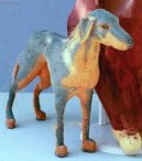 Psí plemena:  > Maratský lovecký pes (Mahratta Greyhound)