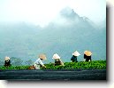 Bak Ninh