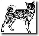 Jaemthund
