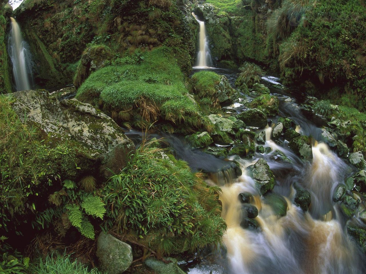 Foto: Cascading Waterfalls Among Ferns And Mosses, Gough Island