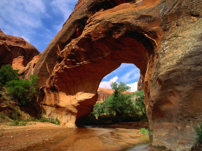 Foto: Coyote Natural Bridge, Glen Canyon, Utah