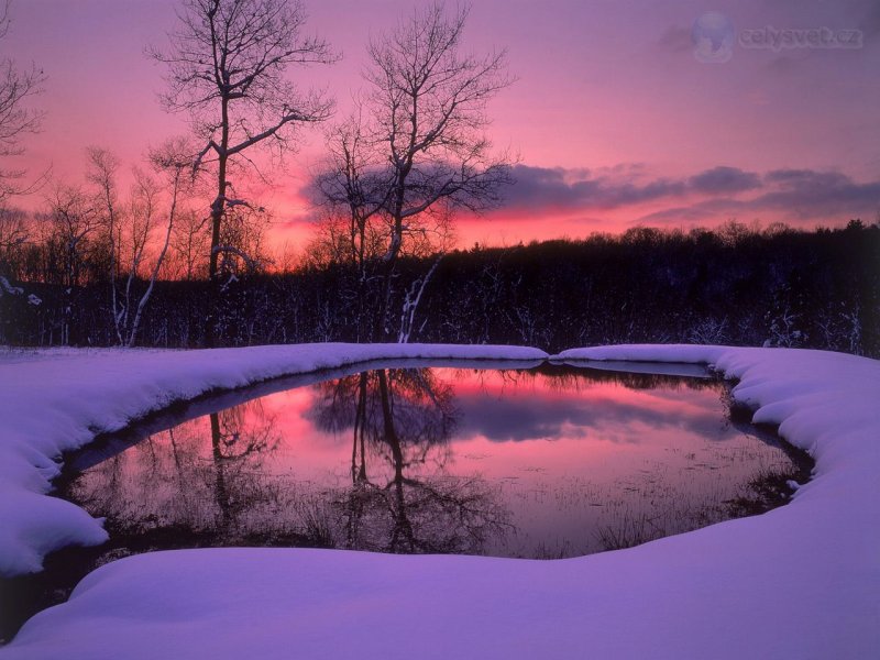 Foto: Mount Washington State Forest, Massachusetts