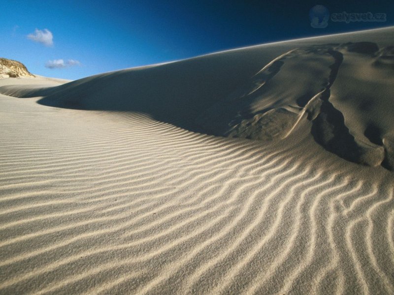 Foto: Sand Dunes In Fraser Island, Australia