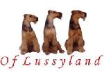 Chovatelska stanice ps: AIREDALES OF LUSSYLAND